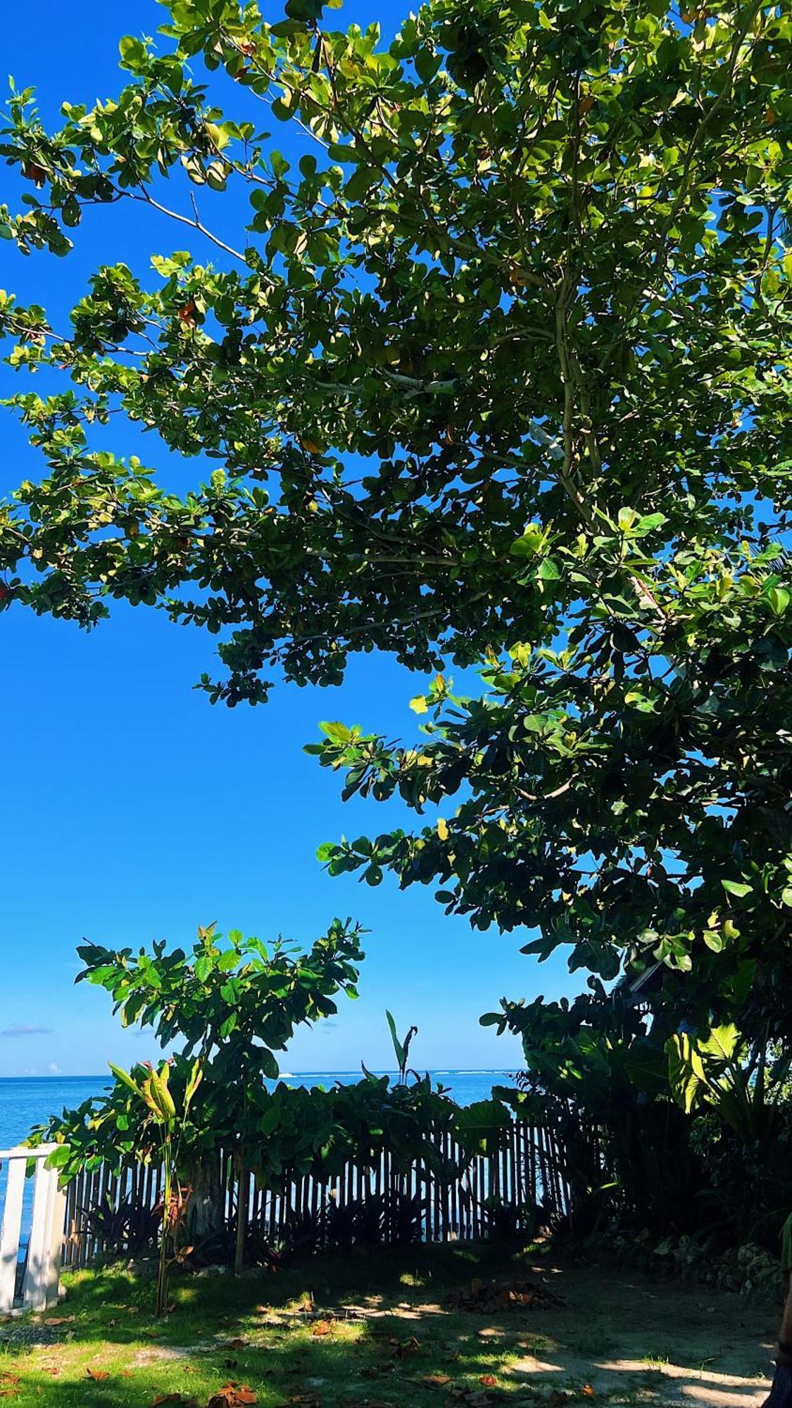 Happiness Beach Resort Siargao General Luna  Exterior photo